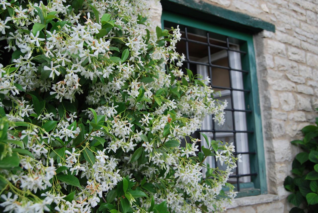 Tritoxo Guesthouse Kukúli Kültér fotó